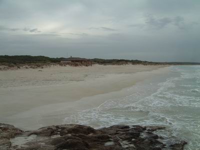 DSCF0062.JPG